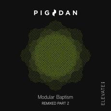 Modular Baptism Remixed Part 2 mp3 Single by Pig&Dan