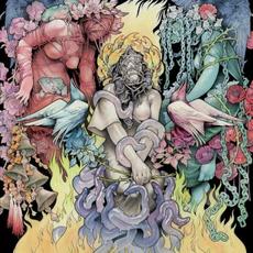 Stone (Deluxe Edition) mp3 Album by Baroness