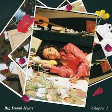 Big Dumb Heart, Chapter 1 mp3 Album by Jenna Raine