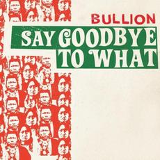 Say Goodbye to What mp3 Single by Bullion