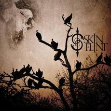 Skinflint mp3 Album by Skinflint