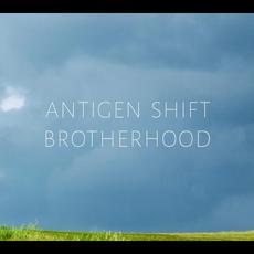Brotherhood mp3 Album by Antigen Shift
