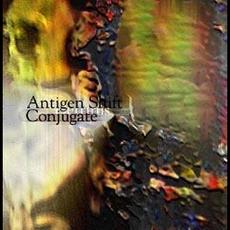 Conjugate mp3 Album by Antigen Shift
