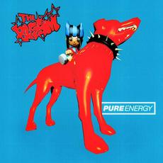 PURE ENERGY mp3 Album by The Blssm