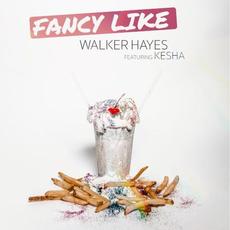 Fancy Like mp3 Single by Walker Hayes