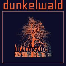 Waldrauch mp3 Album by Dunkelwald