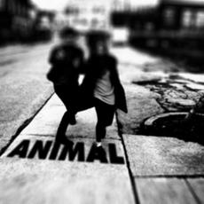 Animal mp3 Single by Fast Romantics