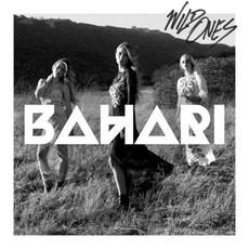 Wild Ones mp3 Single by Bahari