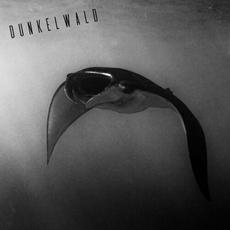 Inerte mp3 Single by Dunkelwald