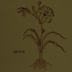 Sprain mp3 Album by Sprain