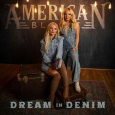 Dream in Denim mp3 Single by American Blonde