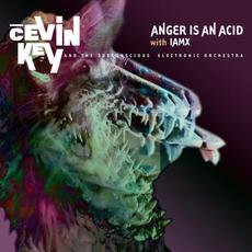 Anger Is An Acid mp3 Single by cEvin Key