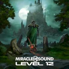 Level 12 mp3 Album by Miracle Of Sound