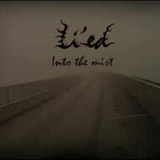 Into the Mist mp3 Album by Li'ed