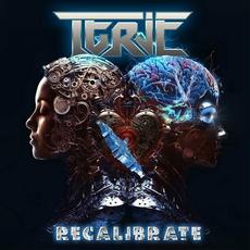 Recalibrate mp3 Album by Terje