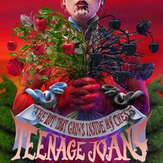 The Rot That Grows Inside My Chest mp3 Album by Teenage Joans