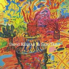 Falling Debris mp3 Album by David Kilgour & Sam Hunt