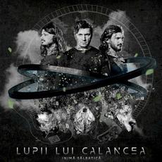 Inimă Sălbatică mp3 Album by Lupii lui Calancea