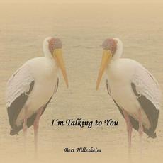 I'm Talking To You mp3 Album by Bert Hillesheim