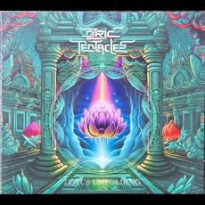 Lotus Unfolding mp3 Album by Ozric Tentacles