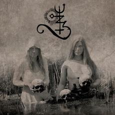 Veil of Death, Ruptured mp3 Album by Asagraum