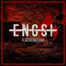 Flächenbrand mp3 Album by Engst