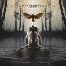 My Light mp3 Album by A Dark Reborn