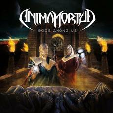 Gods Among Us mp3 Album by Animamortua