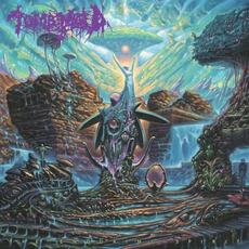 The Enduring Spirit mp3 Album by Tomb Mold