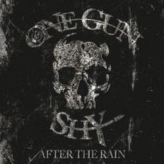 After The Rain mp3 Album by One Gun Shy