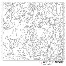 Mosaic mp3 Album by Sue The Night