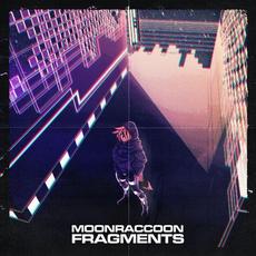 Fragments mp3 Album by Moonraccoon