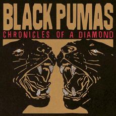 Chronicles of a Diamond mp3 Album by Black Pumas