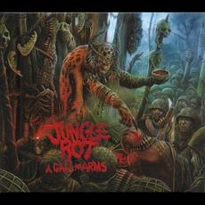 A Call to Arms mp3 Album by Jungle Rot