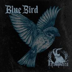 Blue Bird mp3 Single by Insinistra