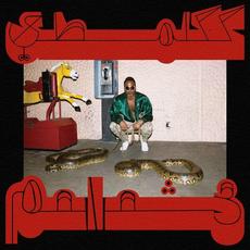 Robed in Rareness mp3 Album by Shabazz Palaces