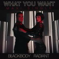 What You Want - Maxi Single mp3 Single by Blackbody Radiant