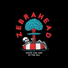Shock and Awe by the Sea mp3 Single by Zebrahead