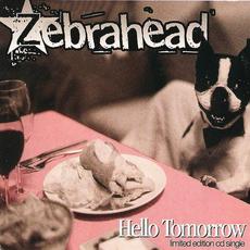 Hello Tomorrow mp3 Single by Zebrahead