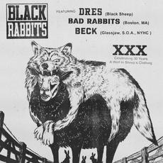 Black Rabbits mp3 Single by Bad Rabbits