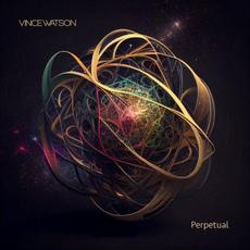 Perpetual mp3 Album by Vince Watson