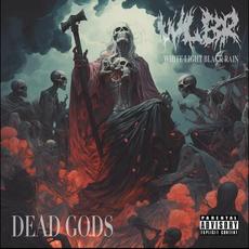 Dead Gods mp3 Album by White Light Black Rain
