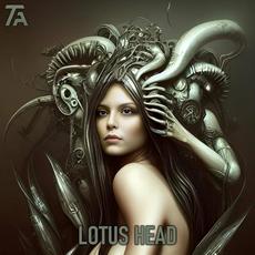Lotus Head mp3 Album by The Fair Attempts