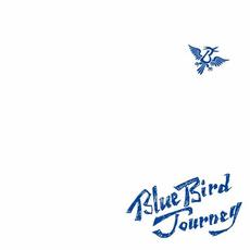 Blue Bird Journey mp3 Album by Bivattchee