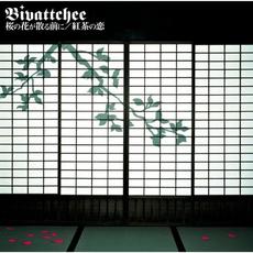 桜の花が散る前に／紅茶の恋 mp3 Single by Bivattchee
