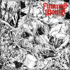 Sword and Scale mp3 Single by Fuming Mouth