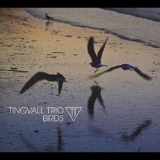 Birds mp3 Album by Tingvall Trio