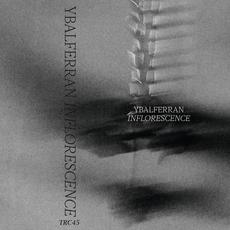 Inflorescence mp3 Album by Ybalferran