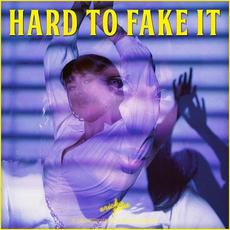 Hard To Fake It mp3 Album by Ericka Jane