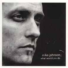 What Would You Do mp3 Album by Mike Johnson
